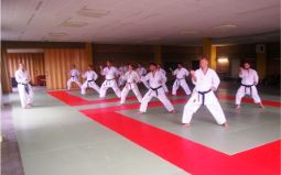 2. Brandenburgischer Shotokan-Tag