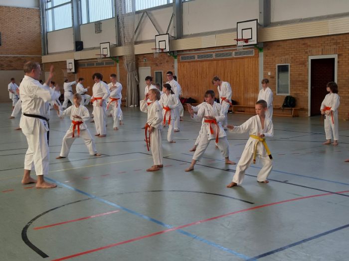 Gruppe Kinder Gruppe Kinder