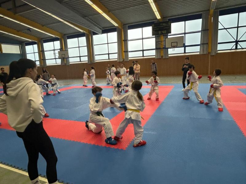 IMG-20240302-WA0079 IMG-20240302-WA0079