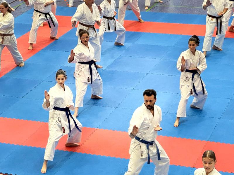 WhatsApp Bild 2025-06-22 um 09.34.03_a8c7470f WhatsApp Bild 2025-06-22 um 09.34.03_a8c7470f