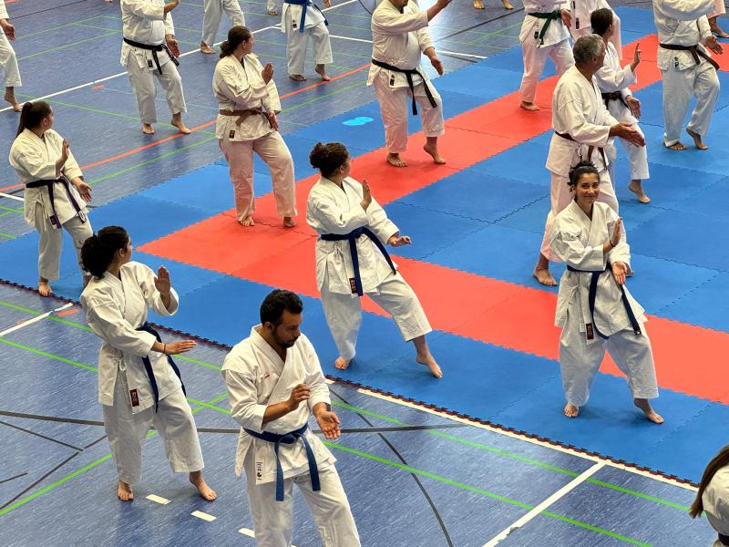 WhatsApp Bild 2025-06-22 um 09.34.03_dc64d541 WhatsApp Bild 2025-06-22 um 09.34.03_dc64d541