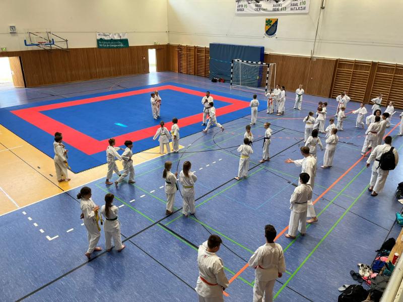 WhatsApp Bild 2025-06-22 um 09.34.04_4d449fc8 WhatsApp Bild 2025-06-22 um 09.34.04_4d449fc8