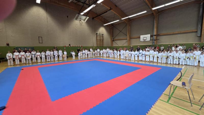 WhatsApp Bild 2025-07-20 um 08.42.38_e4ee7445