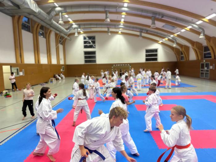 6a35f486-77b4-41f6-a361-ccbff2e0a4df